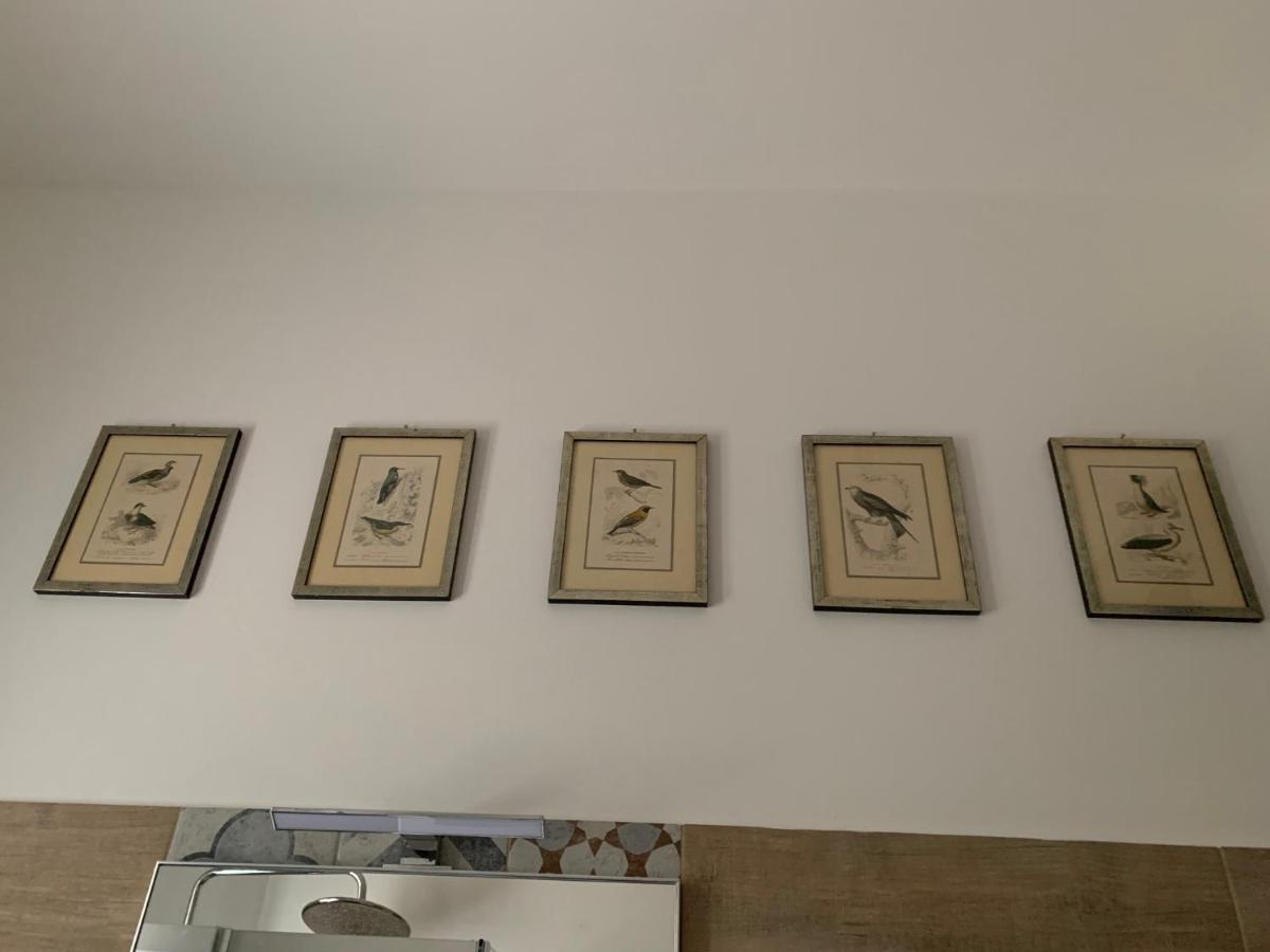 Dimora Castiglioni Villa Венеция Лидо Екстериор снимка